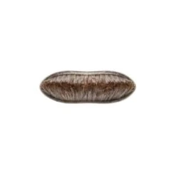 MAC Small Angle Brush - 263 7 MAC Small Angle Brush - 263 -Skonhed og Tilbehor mac small angle brush 263 1628671022