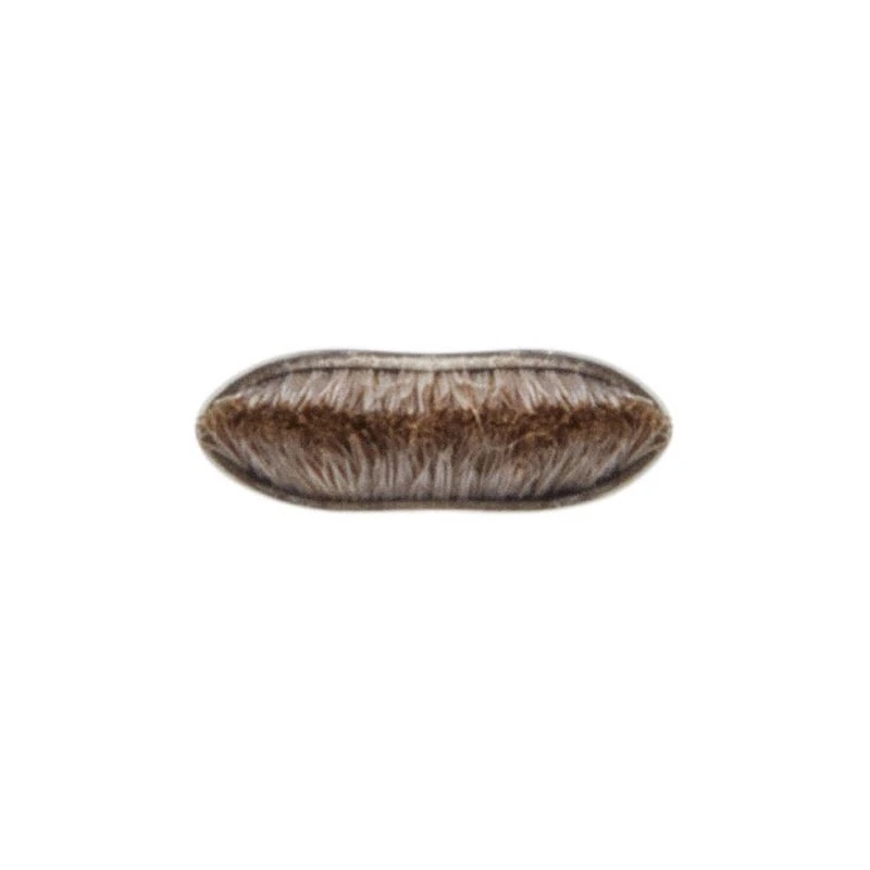 MAC Small Angle Brush - 263 5 MAC Small Angle Brush - 263 - Billede 3